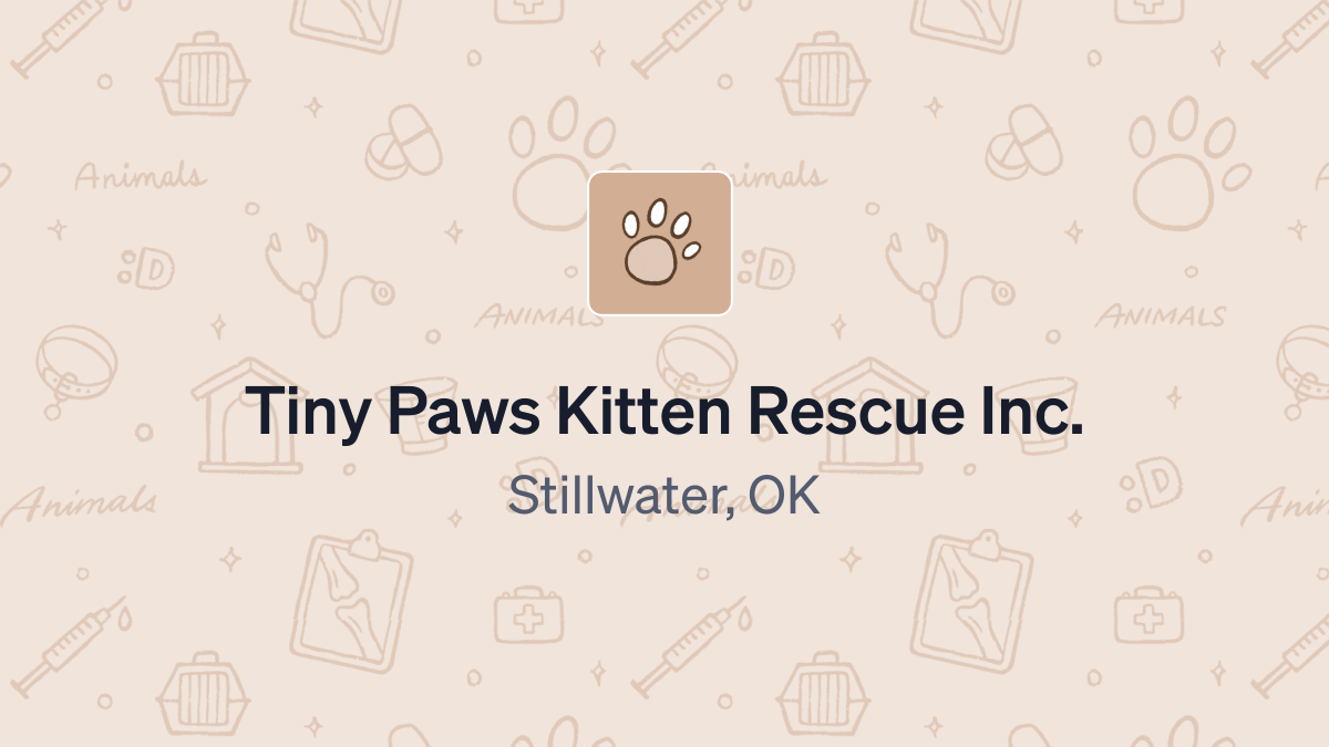 Tiny paws best sale kitten rescue